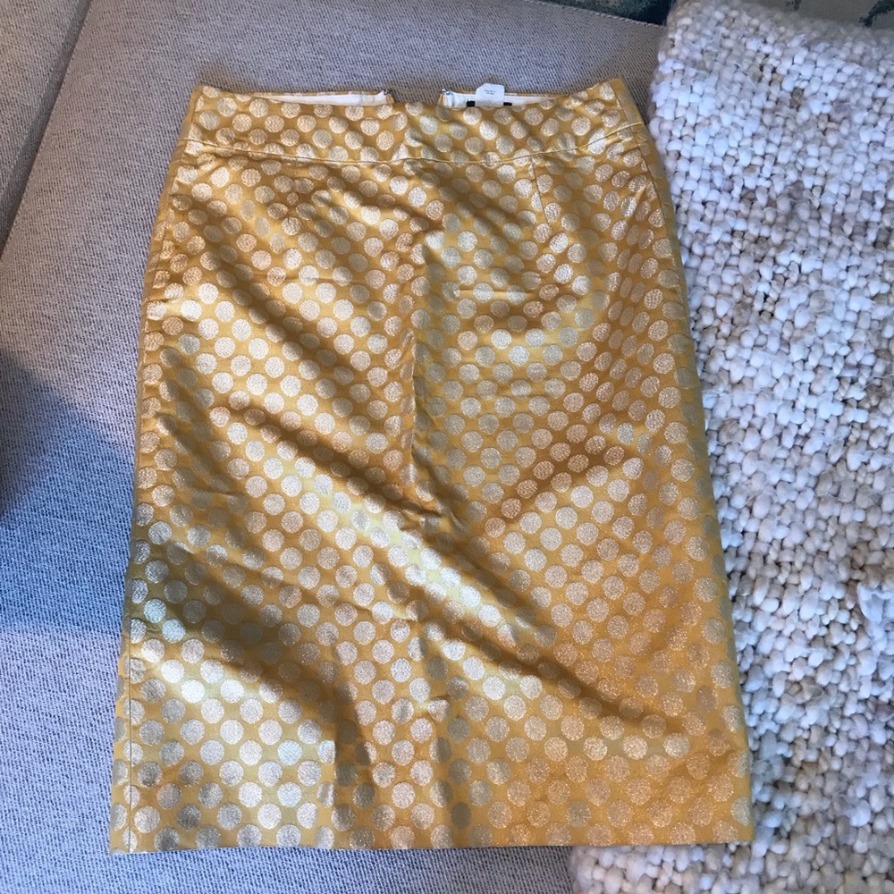 J Crew Silk A Line Skirt